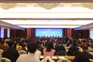 中国建设监理协会